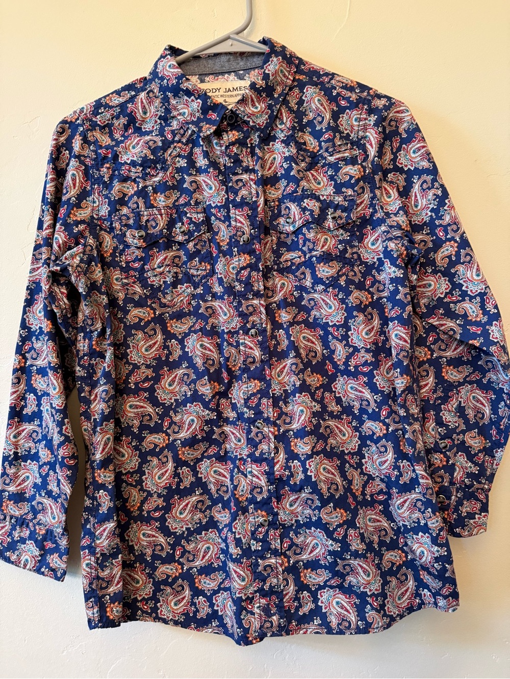 Cody James Boys Paisley Long Sleeve Western Snap Shirt